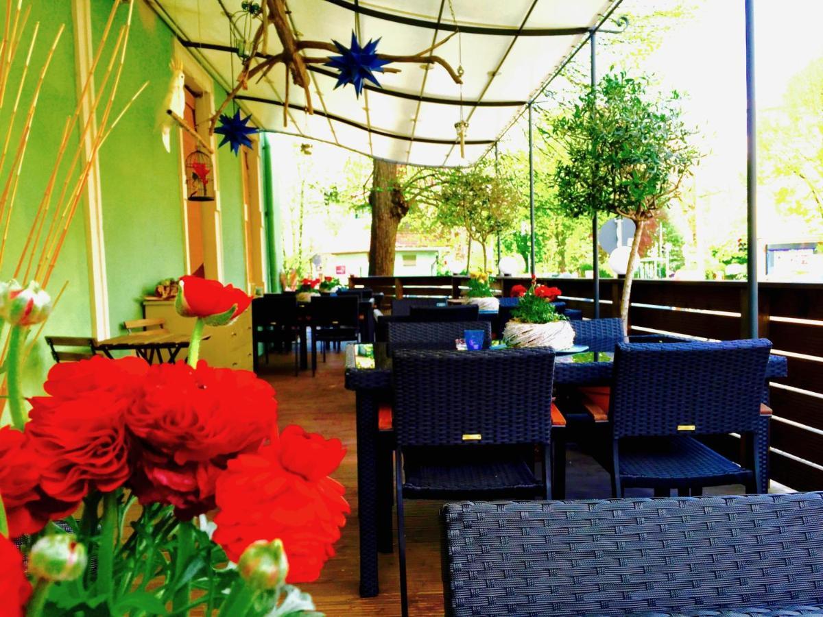 Zu Den Linden - Radebeul Pension Mit Restaurant Екстер'єр фото