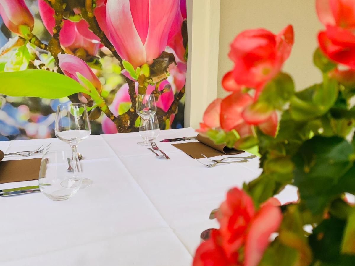 Zu Den Linden - Radebeul Pension Mit Restaurant Екстер'єр фото